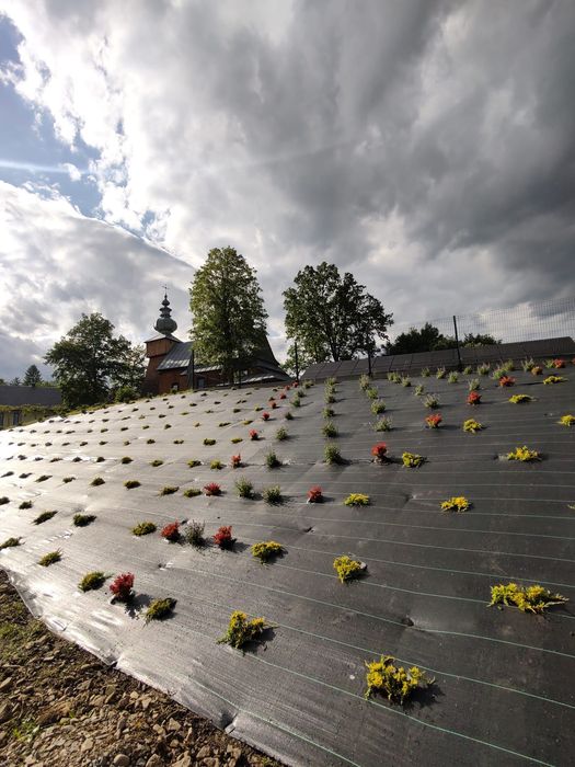 Sadzenie roślin | Usługi ogrodnicze | Skarpy, folia, nawadnianie