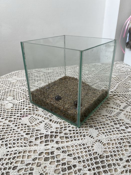 Акваріум квадратний