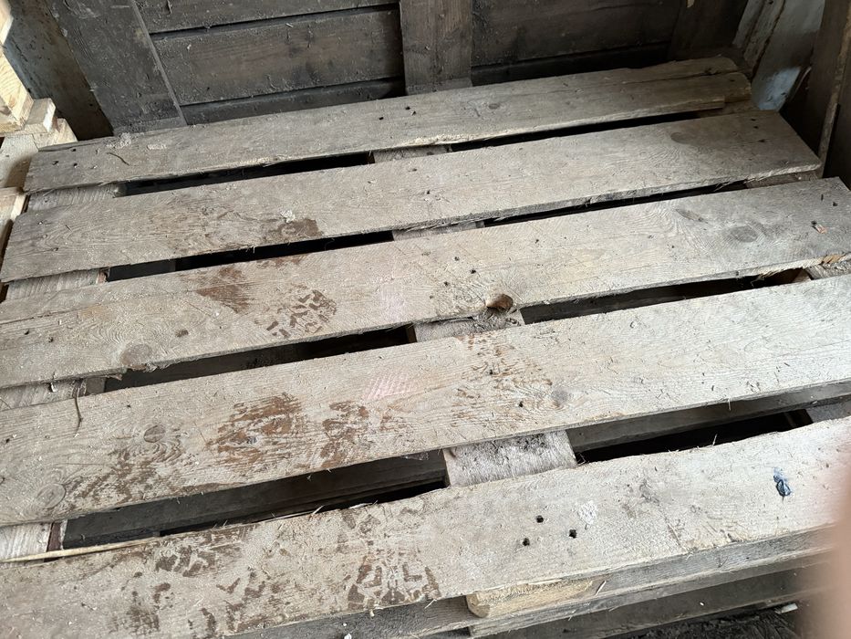 Поддоны в большом количестве продажа от 3 штук