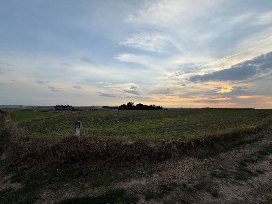 Sprzedam Pole Orne 1,15 ha cały czas uprawiane - Widok 2