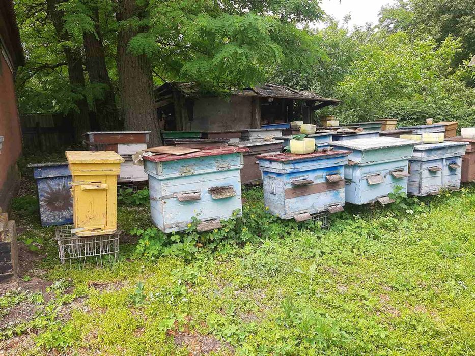 Продам вулики. Вулики для бджіл