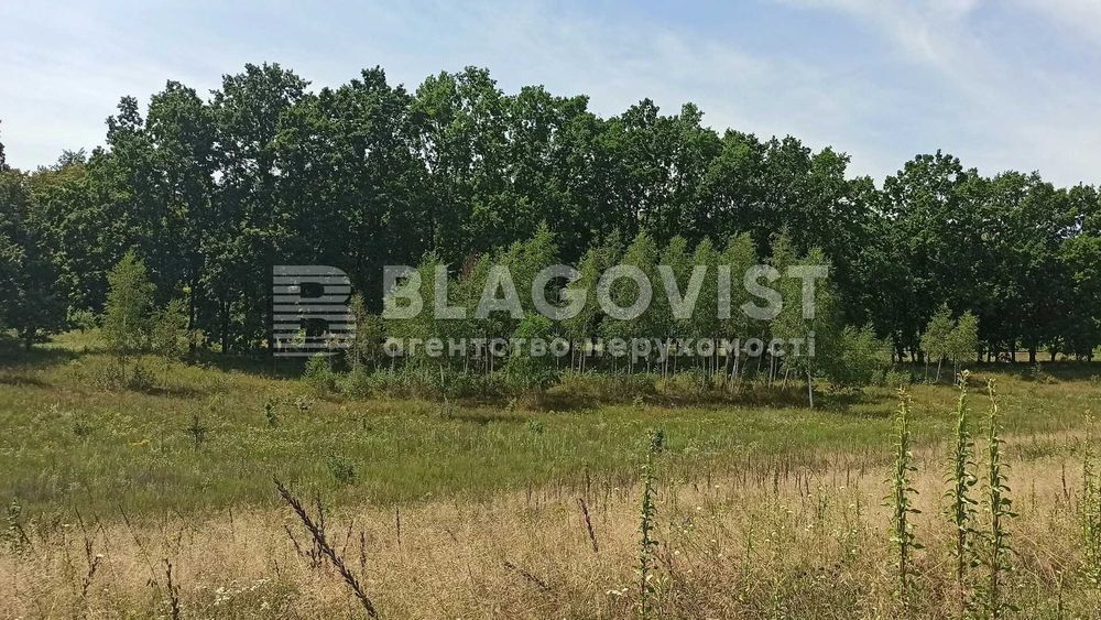 Продаж Бази Відпочинку серед Лісу ! 6.9 Га ! Червоний Хутір