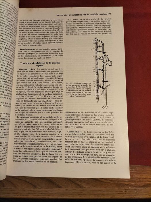livro "Medicina Interna: Compendio Práctico de Patología Médica y Terapéutica Clínica" - CXL6