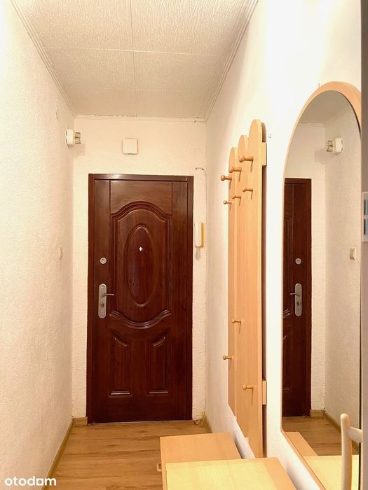 Słoneczne, dwupokojowe mieszkanie na wynajem