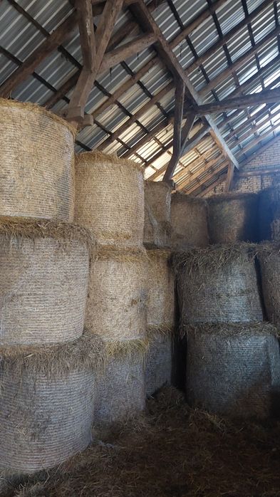 Sprzedam słomę z poprzedniego roku