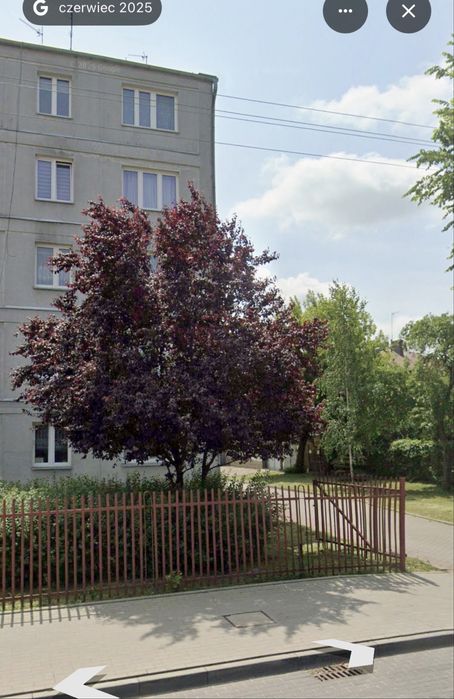 Mieszkanie  63,4 m Świerczewo