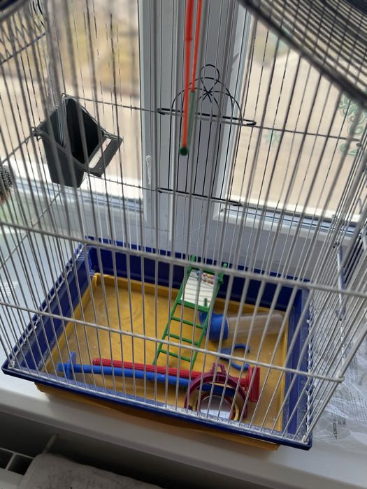 Клітка для папуги