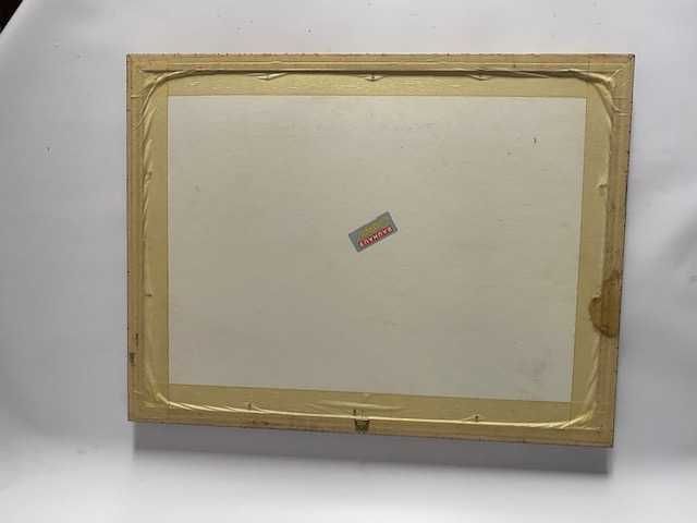 Obraz ryby w solidnej ramie