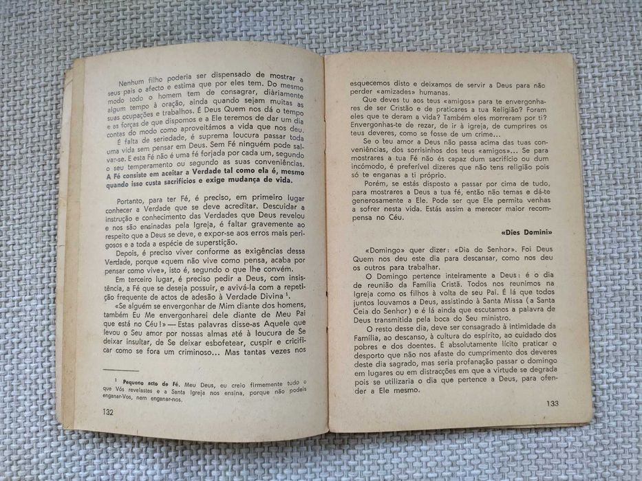 Verdades esquecidas (P. J. Gonçalves)