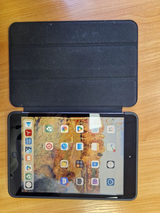 iPad mini 2 retina