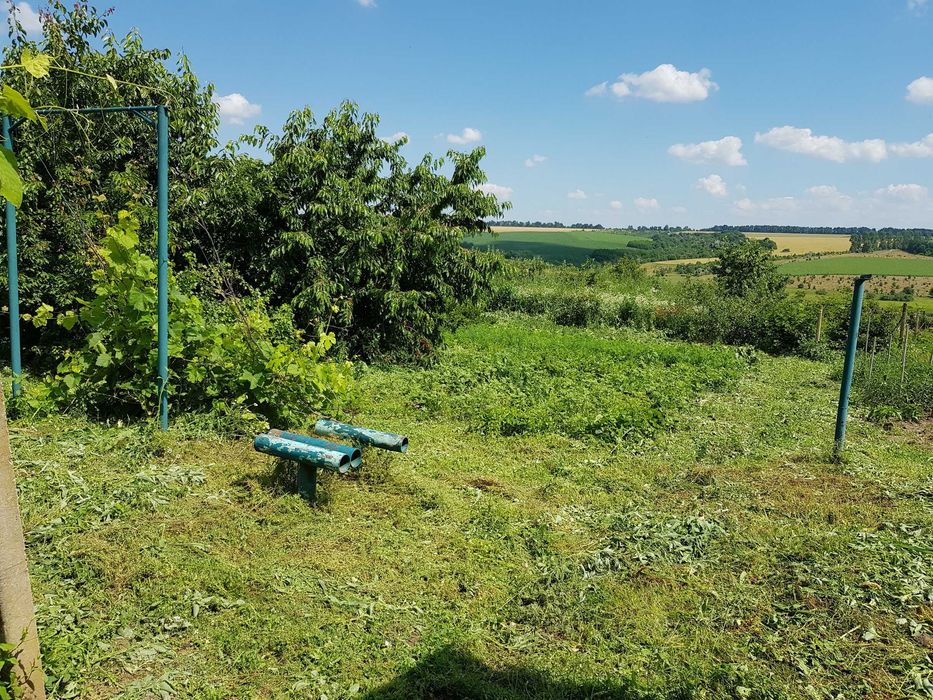 Будинок із земельною ділянкою в с. Олексіївка, Жмеринський район