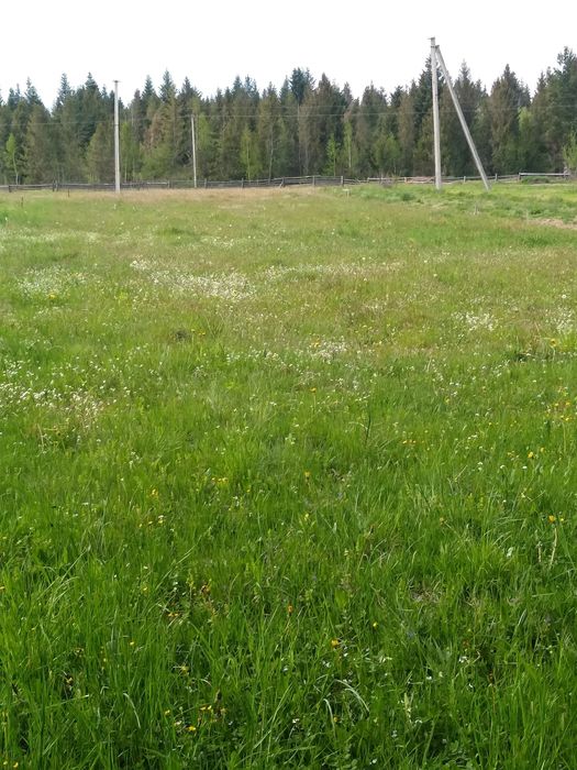 ДУЖЕ ДЕШЕВА ЗЕМЛЯ в найчистішій екологічній місцевості Прикарпаття !