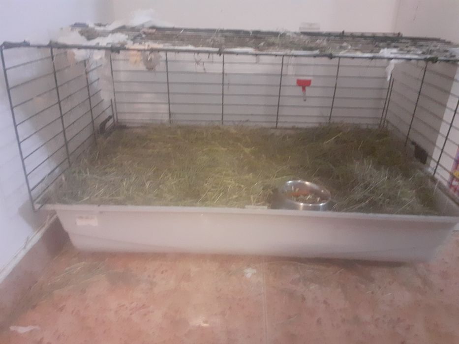 Gaiola grande para coelhos ou roedores