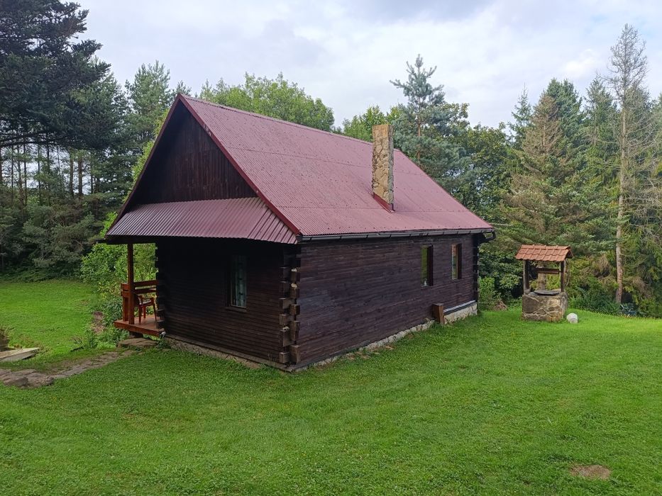 Rekreacja, noclegi, domek letniskowy, leśne zacisze, nad stawem.