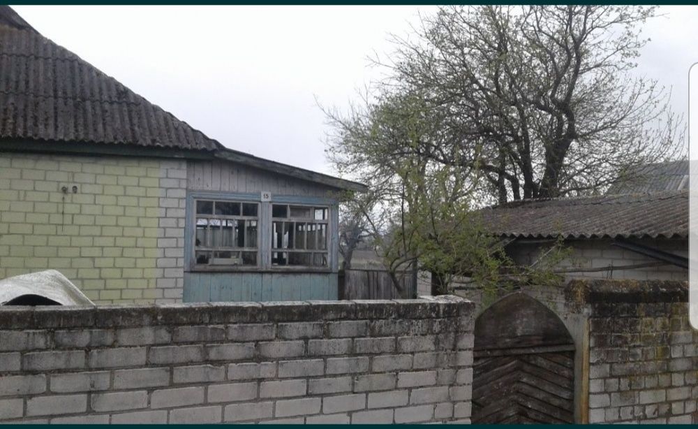 Продам дім /дачу/ в с.Ладинка Чернігівьська обл.,траса Київ-Черніг