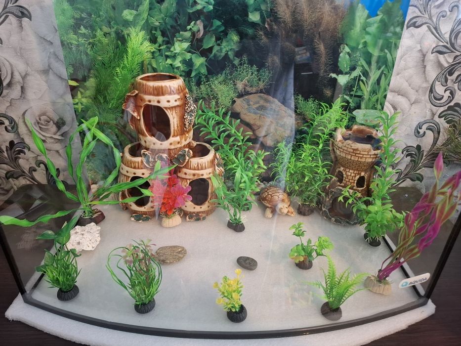 Продам акваріум 50 л. і все що на фото