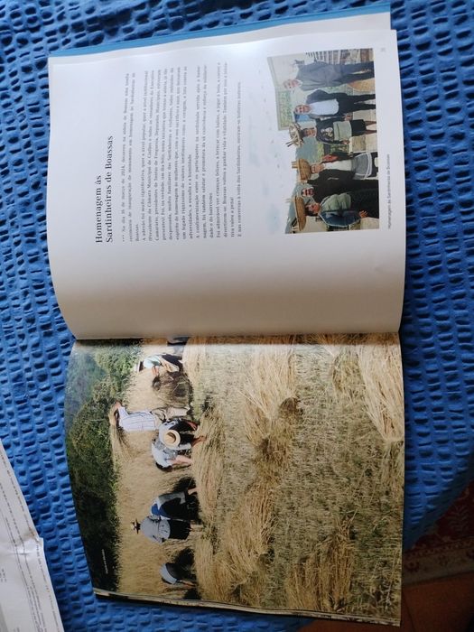 Livro "As Sardinheiras de Bossas"