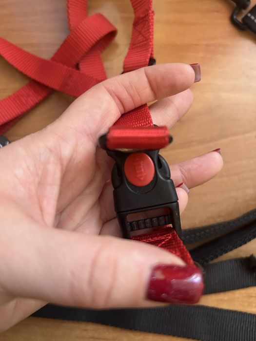 Набір повідців для собаки