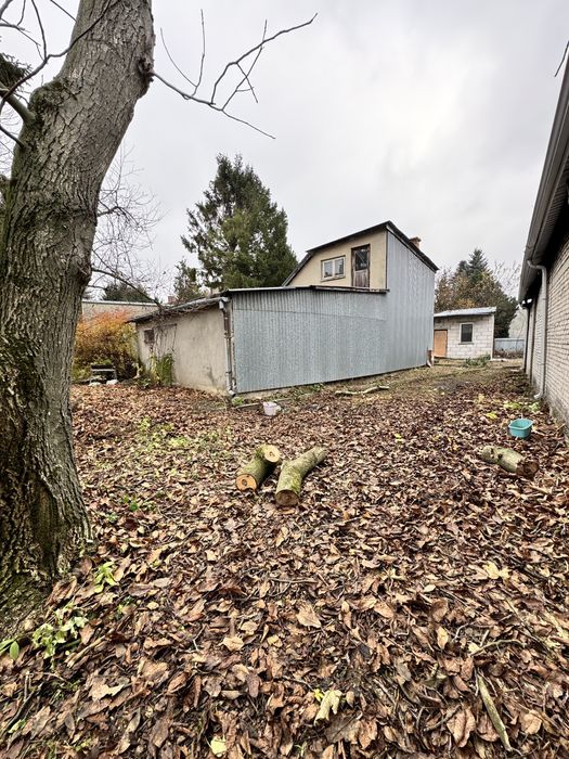 Drewno orzech odbiór własny