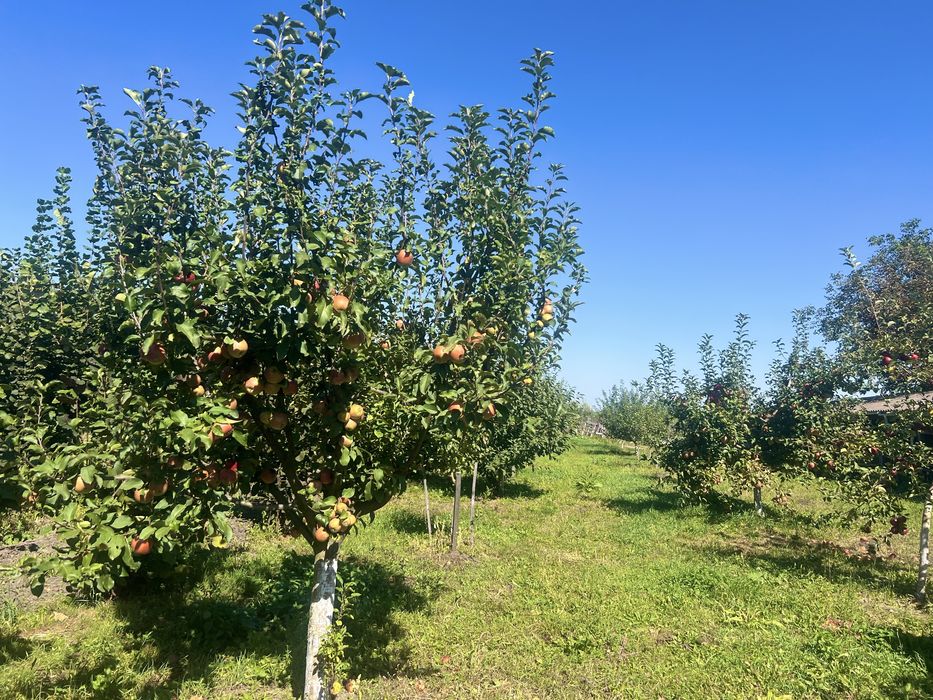 Будинок з свіжим ремонтом 8 км. від м. Здолбунів