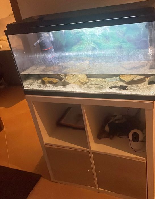 Móvel com aquário