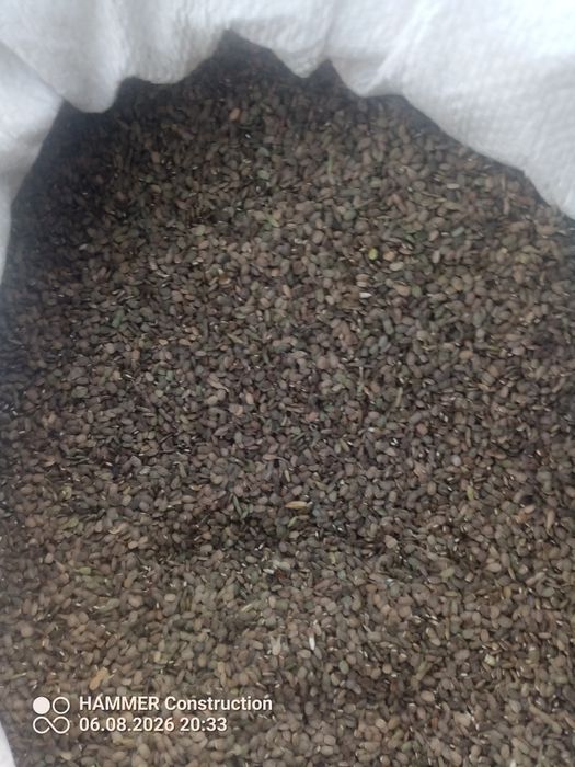 Saladera  seradela