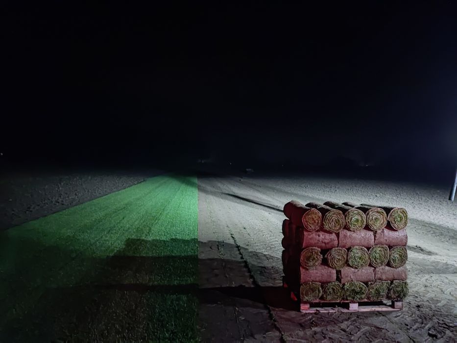 Trawa z rolki/trawa rolowana/Producent