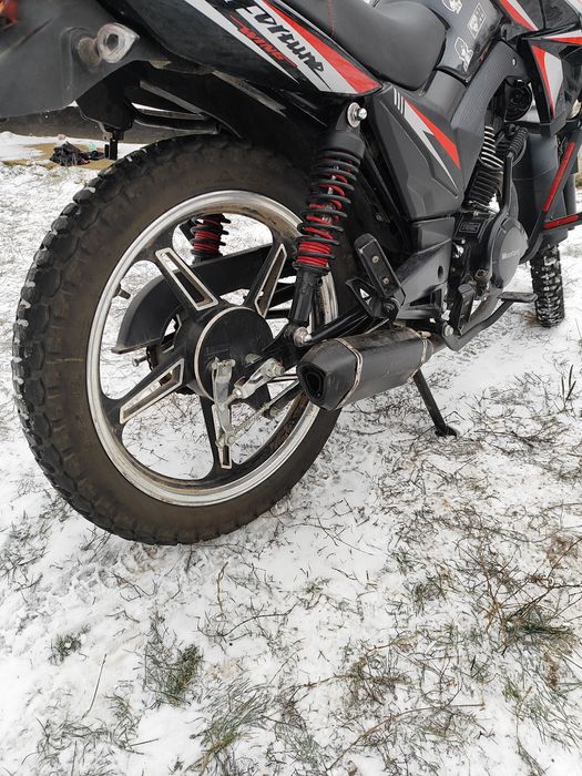 Musstang fortune 200