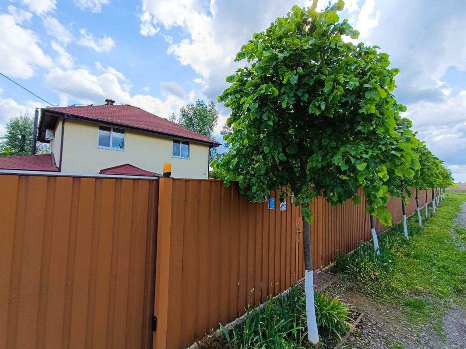 Гостомель, продаж ділянки 6.46 соток! Поруч нові будинки! Ділянки закрити деревами від других вулиць! Релаксмісце! Власник! Без комісії та скритих %!