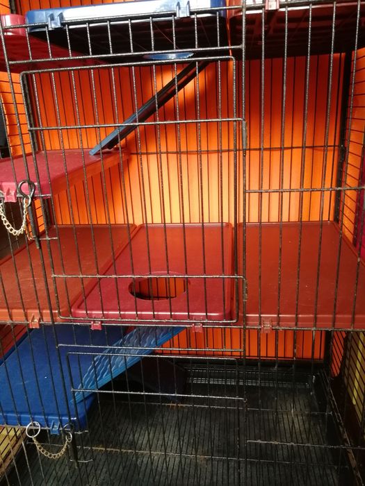 Gaiola tamanho grande