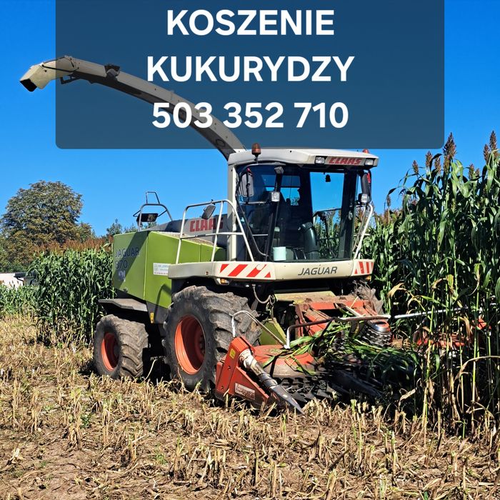 Koszenie Kukurydzy Sorgo Słonecznika