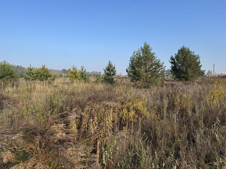 Продам 6 соток біля Броварів ,Нова Калинівка ,світло ,ліс,Перемога топ