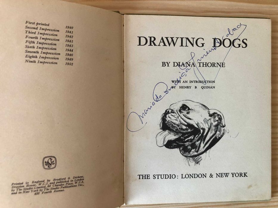 Drawing Dogs - Diana Thorne