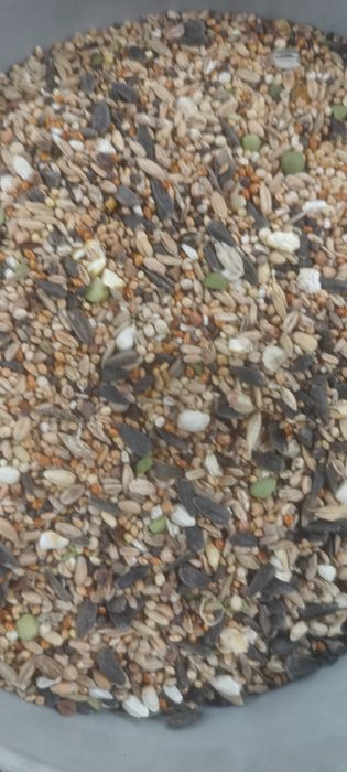 Mix ziaren 25 kg super cena papuga kura bażant gołąb