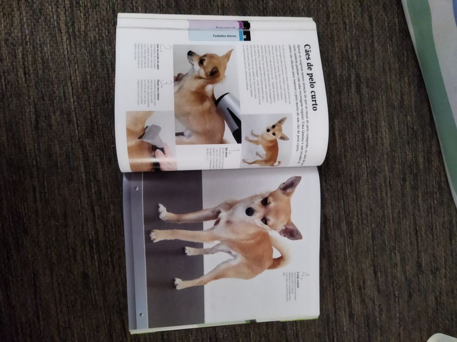 Livro manual do cão