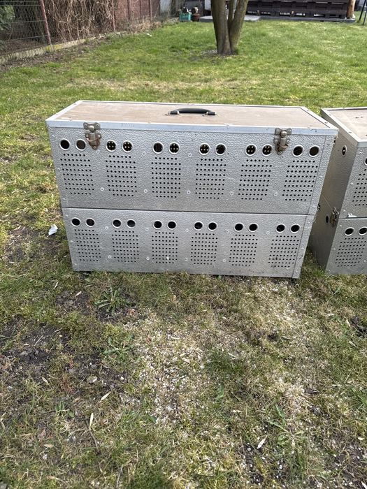 Pojemnik transportowy dla gołebi