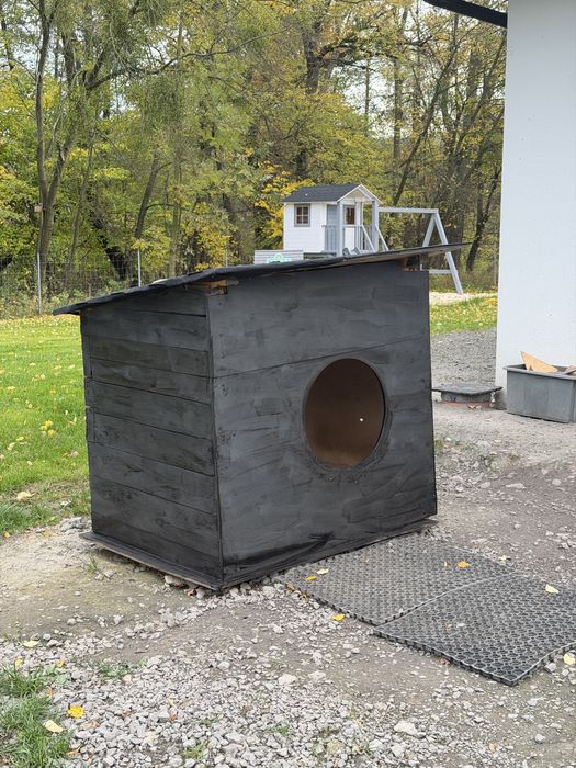 Buda dla średniego i dużego psa - ociepalna steropianem, papa na dachu