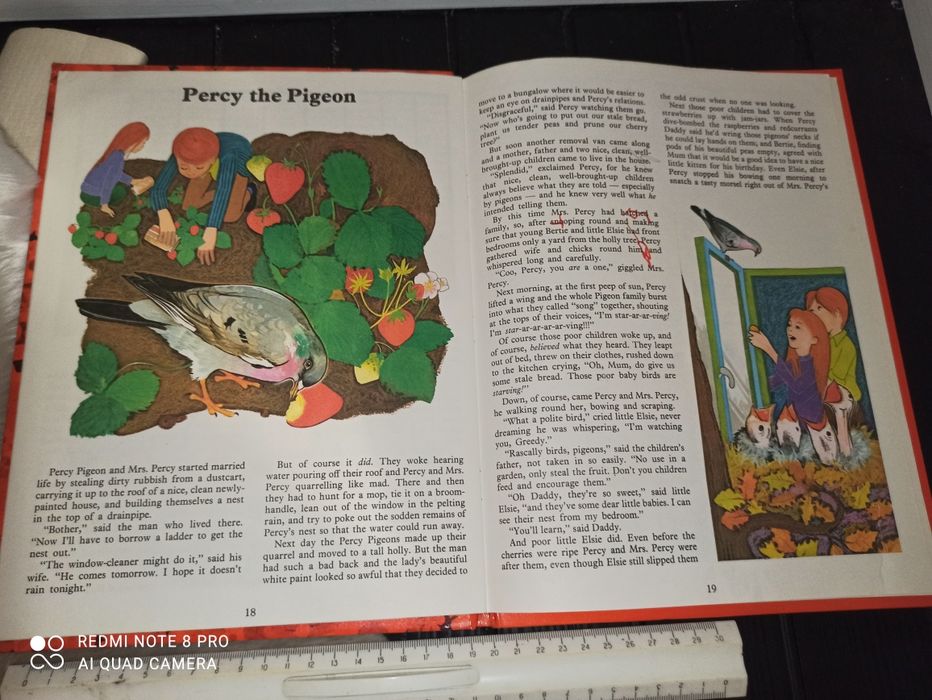 Книга на английском языке Percy the pigeon