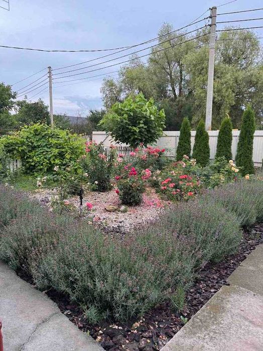 Бобрик продам будинок  +14 сот.