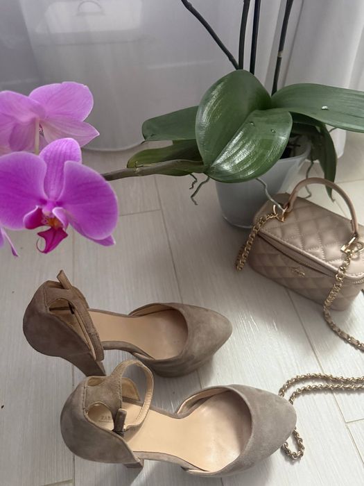 Продам туфлі Zara 38 розмір, 24.5 см , замшеві , сірі