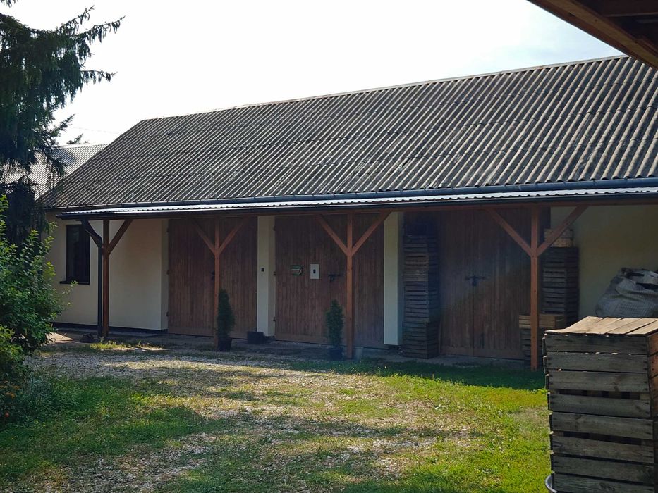 JABŁKA - Stara Niedziałka
