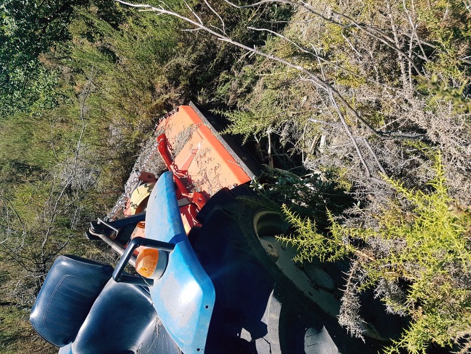 Limpezas de terrenos, vedações e outras prestações de serviço