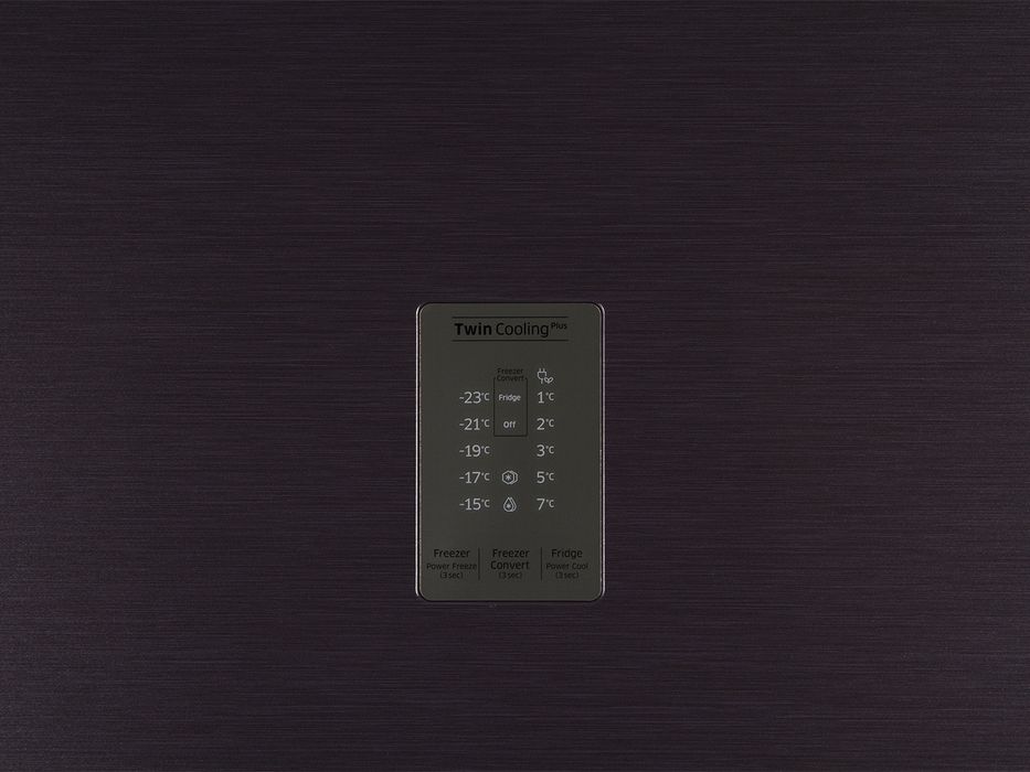 Двокамерний холодильник Samsung RT53K6340UT/UA