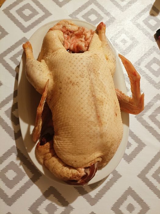 Sprzedam Tuszki (Kaczki, Gęsi, koguty)