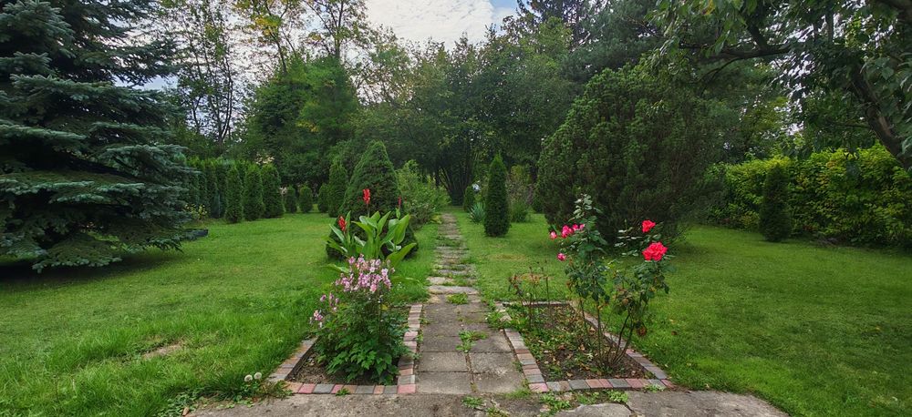 Działka ROD ul. Pryncypalna 400 m² - Więcej