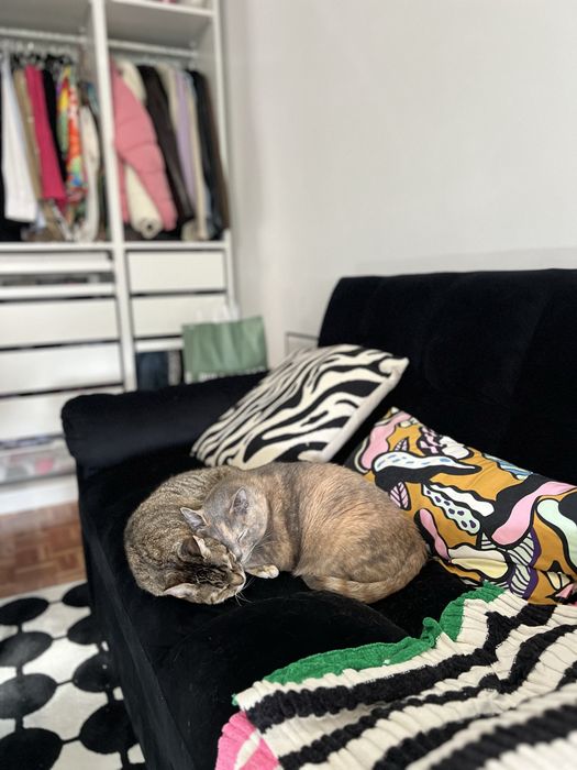 Sofá-cama preto veludo