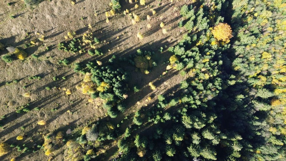 Земля під будову, межує з лісом, гарний доїзд