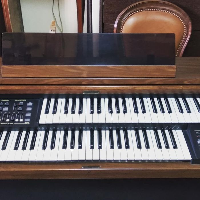 Reparação de Órgãos e Teclados