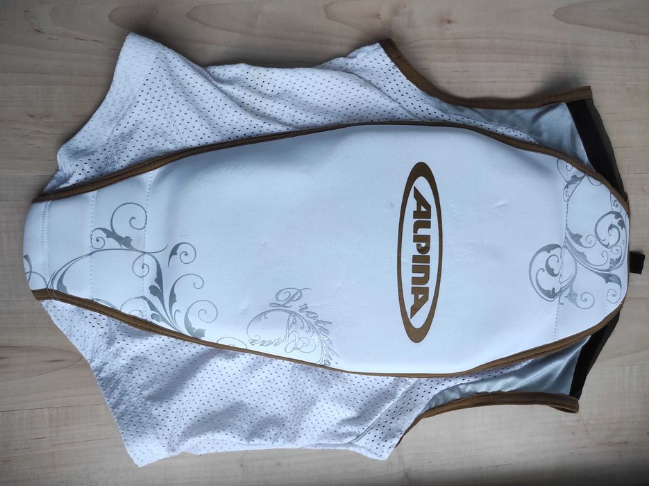 Мотоциклетная защита спины, черепаха жилет Alpina Protection Gear