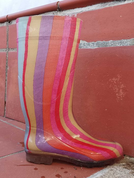 Galochas (botas borracha) coloridas